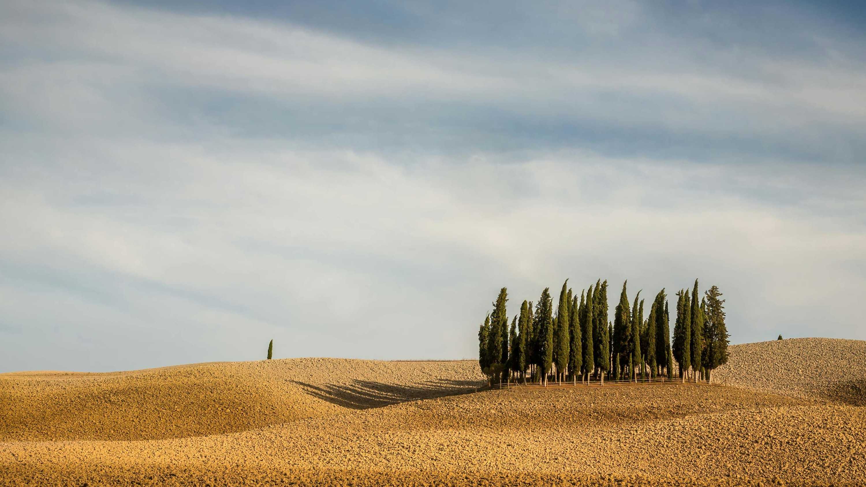 Die üppigen Landschaften der Maremma unter sonnigem Himmel