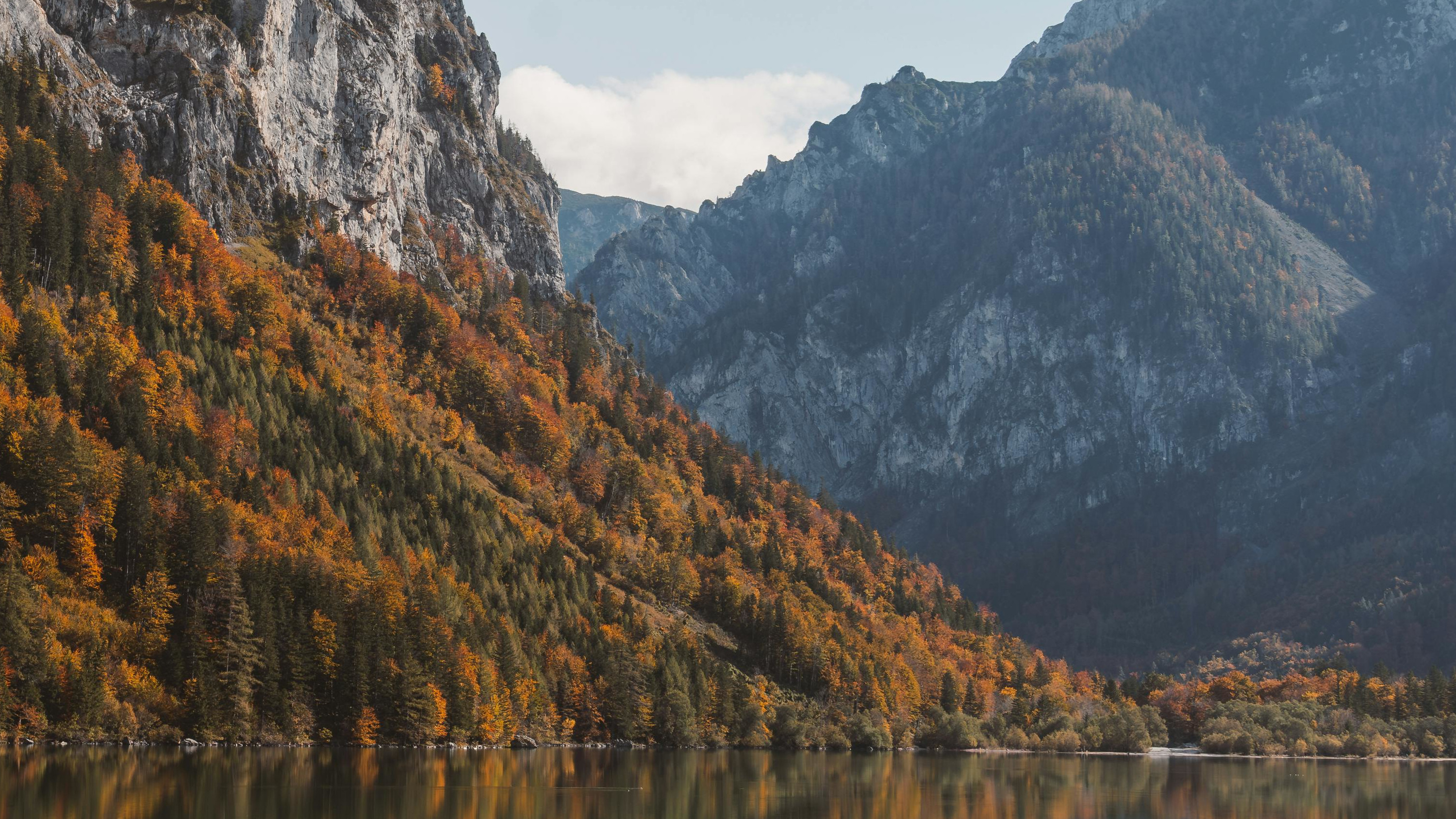 Smaragdgrüner See umgeben von üppigem Grün